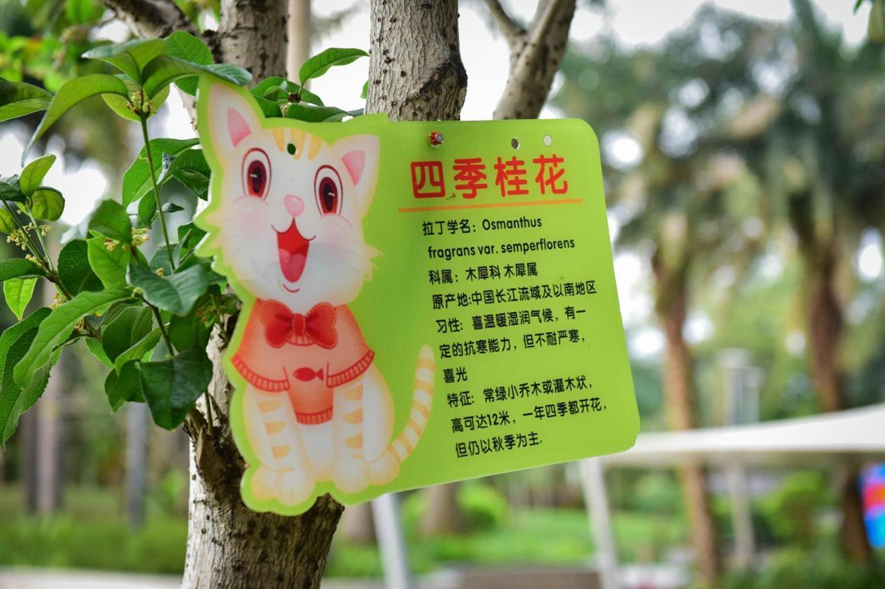 ホテル Crowne Plaza Huizhou By Ihg エクステリア 写真